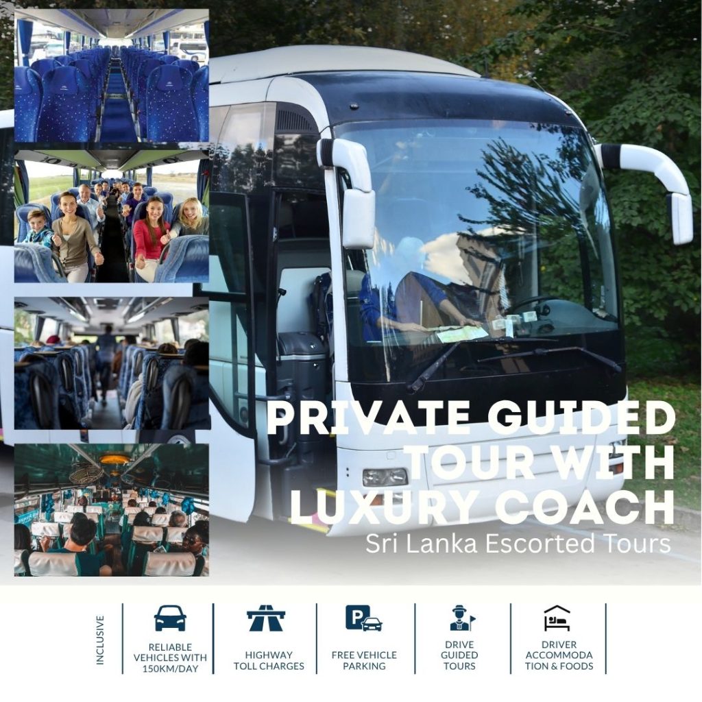 Luxury Coach/Bus