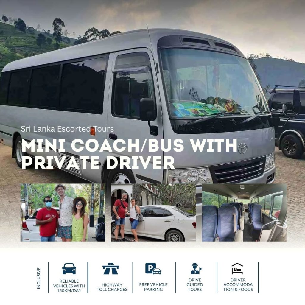 Mini Coach/Bus with Private Driver